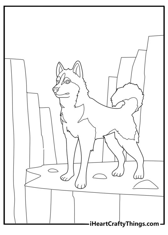 husky standing on rocky terrain coloring page