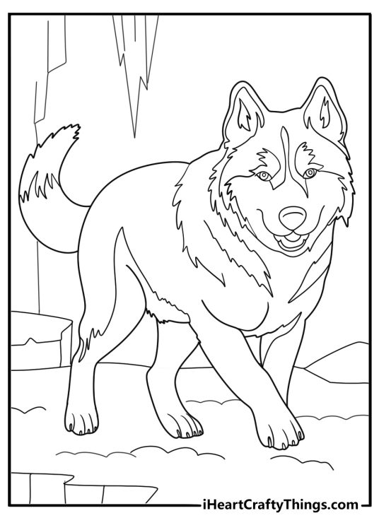 husky walking on icy trail detailed coloring sheet
