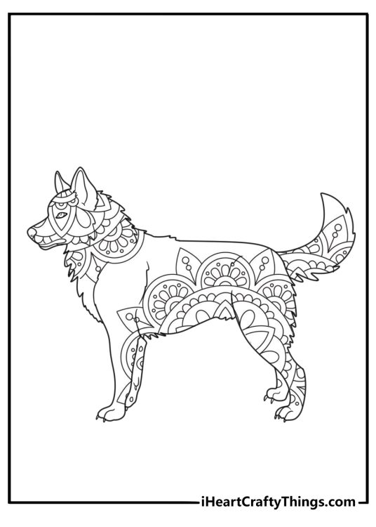 husky with thick fur coat mandala style coloring page for adults