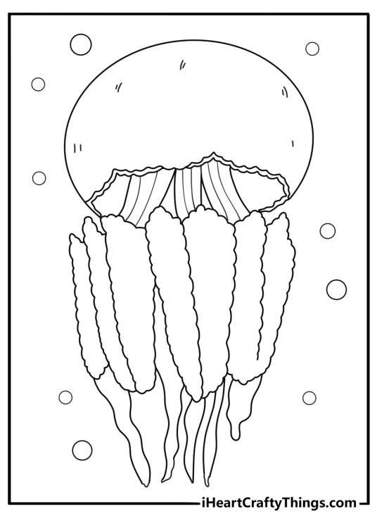 jellyfish coloring page single large jelly in open ocean horizon detailed pdf