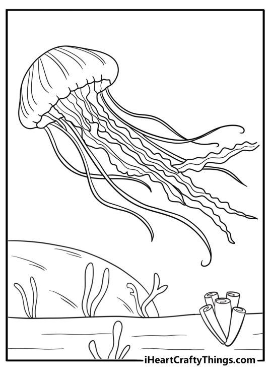 jellyfish coloring page with reef background sea grass and small rocks easy line art printable