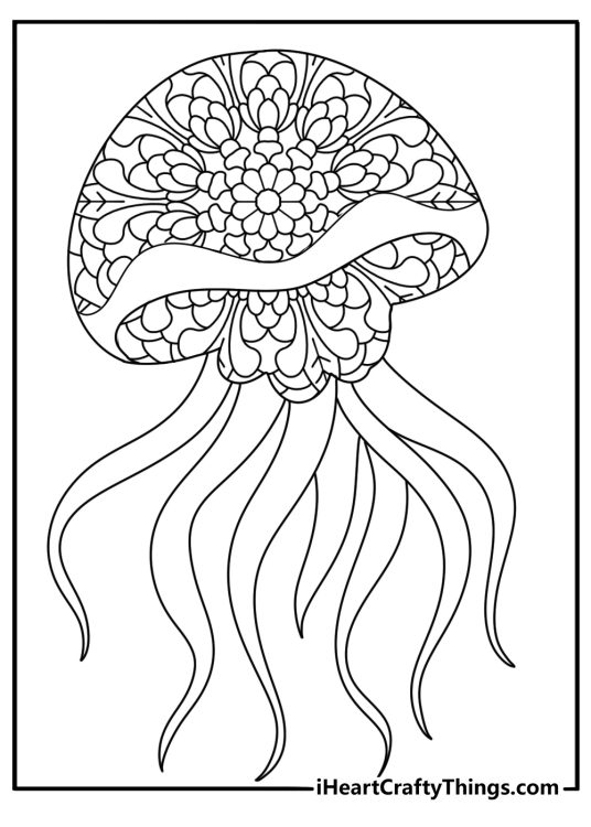 jellyfish mandala coloring page radial bell patterns for adults intricate and relaxing pdf