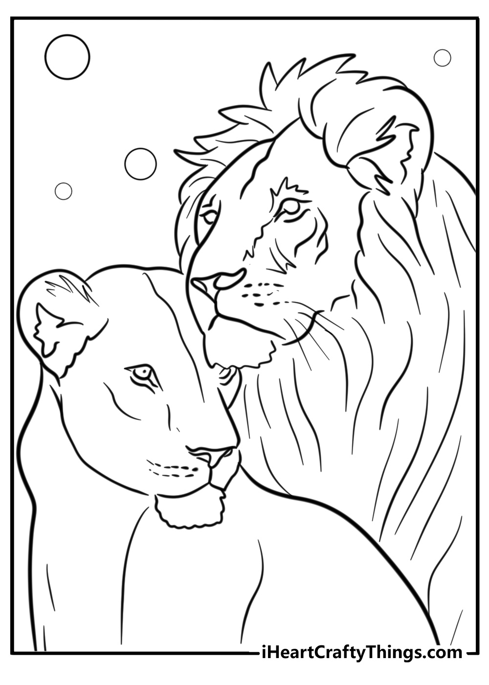 Lion and lioness coloring pages