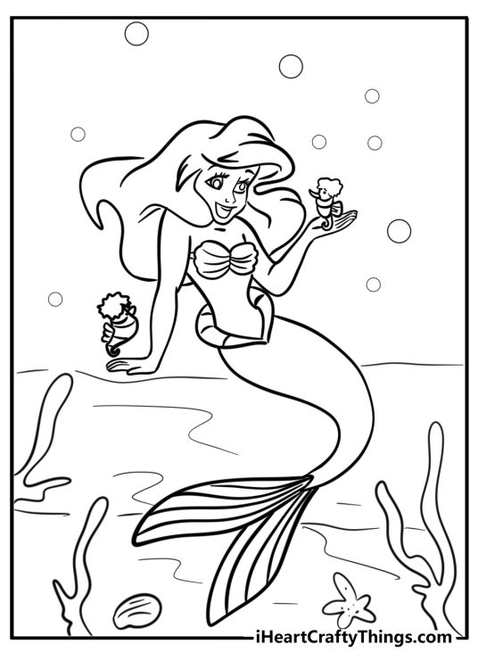 Coloring picture for kids presenting mermaid Ariel surrounded by two little seahorses and water plants