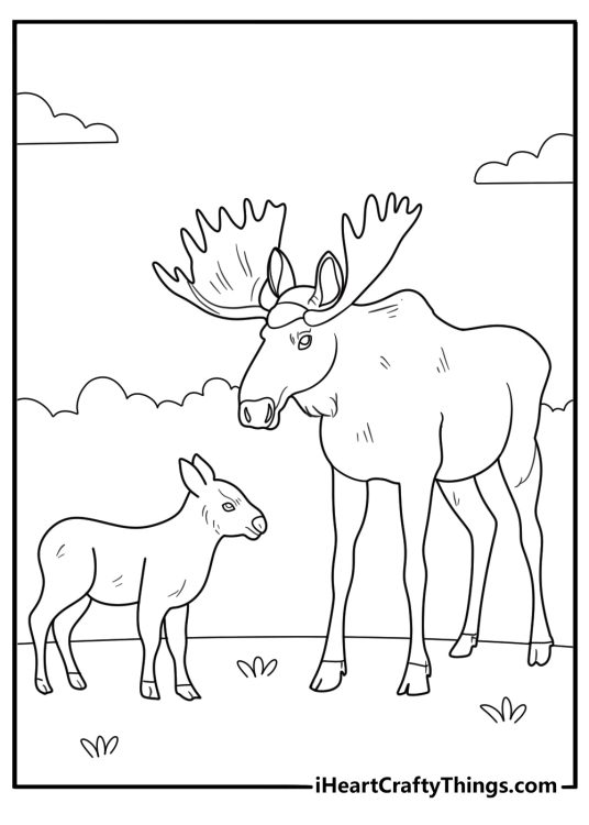 moose family with calf in the meadow simple coloring sheet