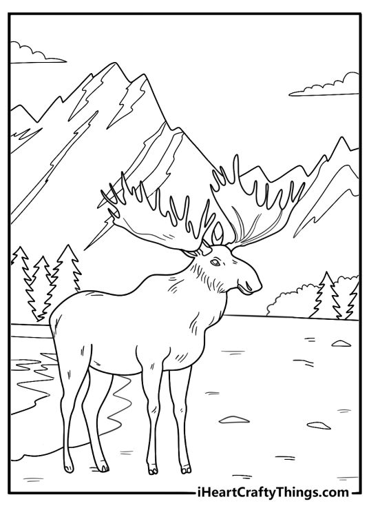 moose standing in front of mountains detailed coloring page for adults