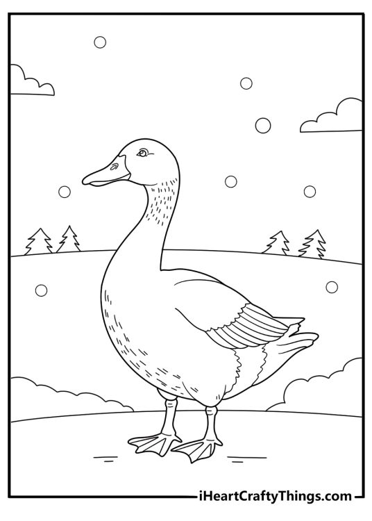 printable duck coloring page mallard standing in light snowfall near a frozen pond winter theme