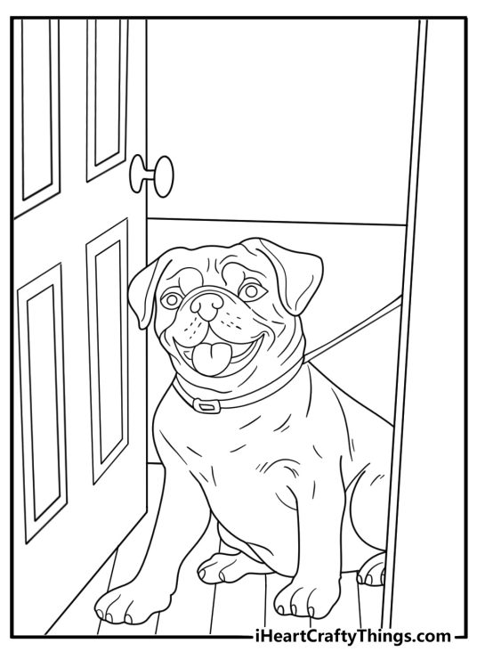 pug coloring sheet pug with leash sitting by the door ready for a walk printable