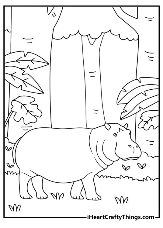 pygmy hippopotamus walks through a tropical forest in this detailed coloring page