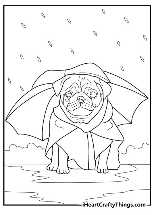 rain day pug coloring page pug in raincoat under umbrella with puddles around easy printable