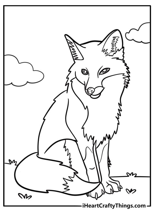 Realistic fox coloring pages