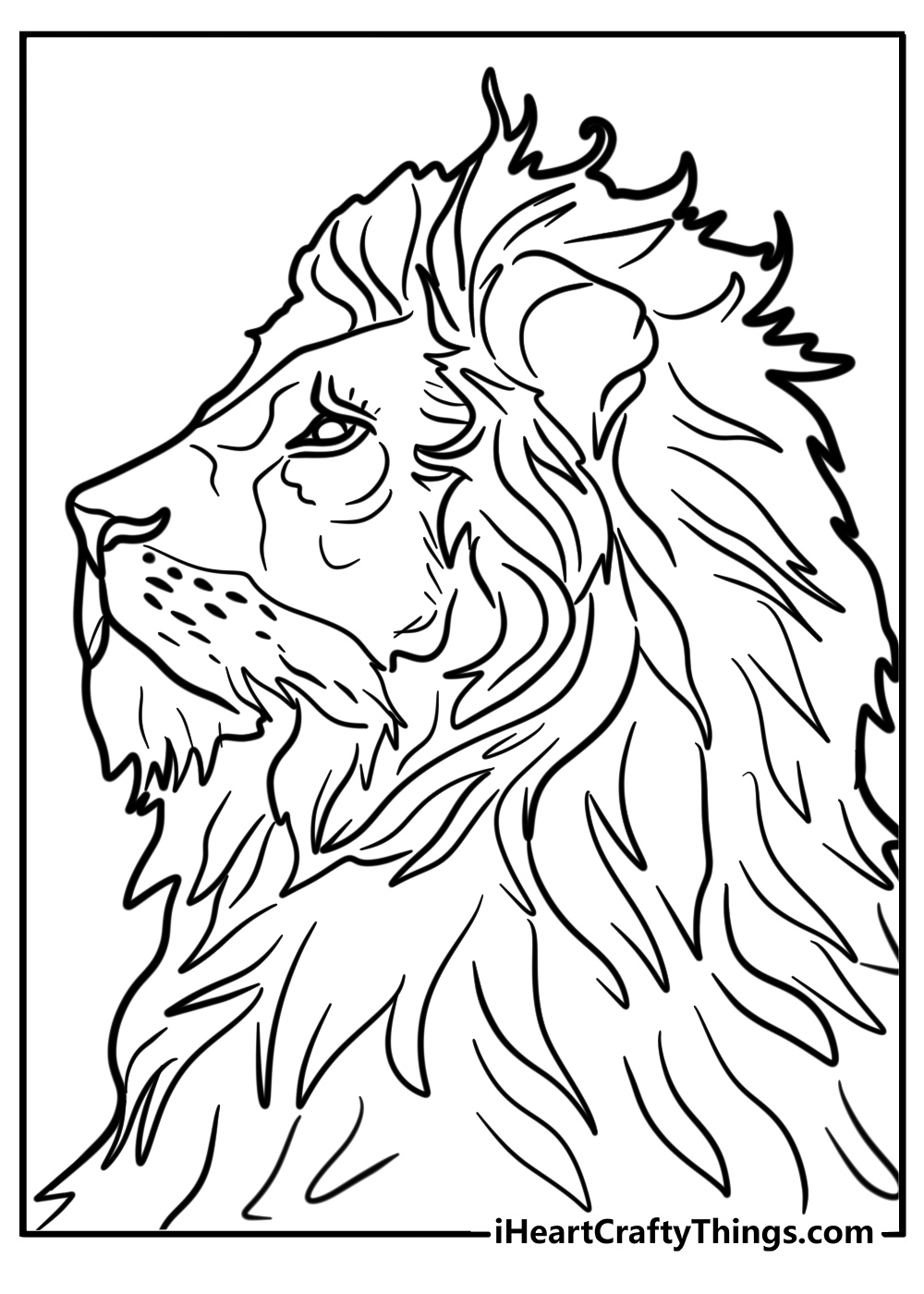 Realistic lion coloring pages