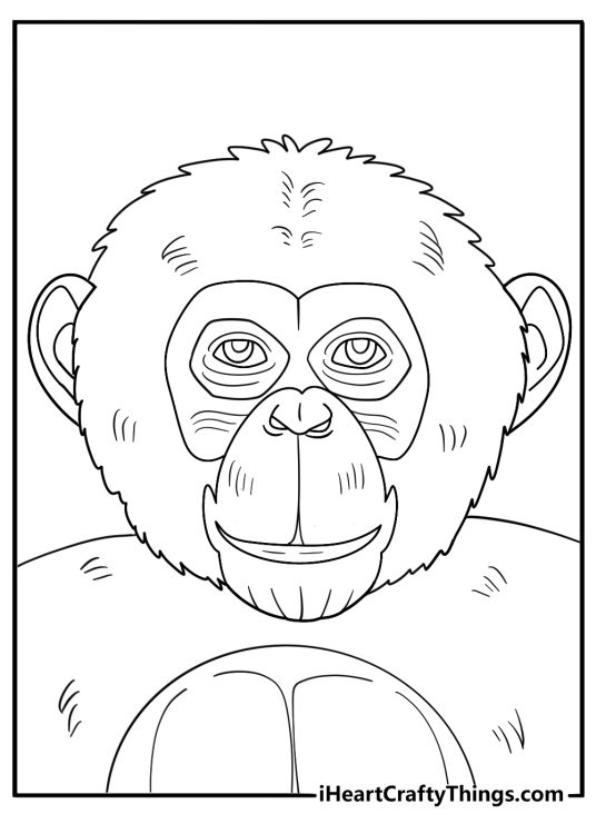 realistic monkey face detailed coloring page