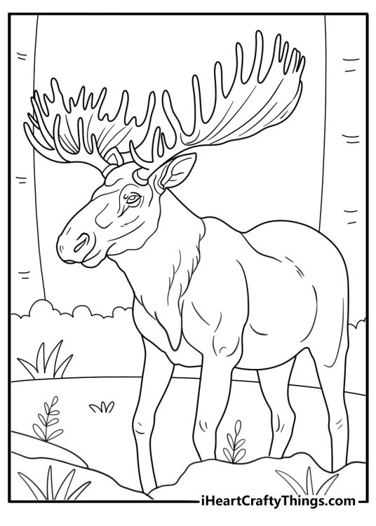 realistic moose standing in a forest detailed coloring page
