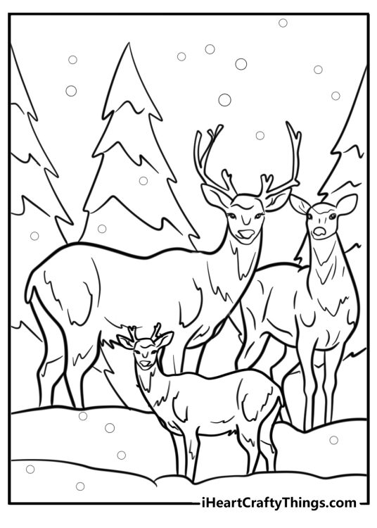 Reindeer family in a winter forest detailed coloring sheet