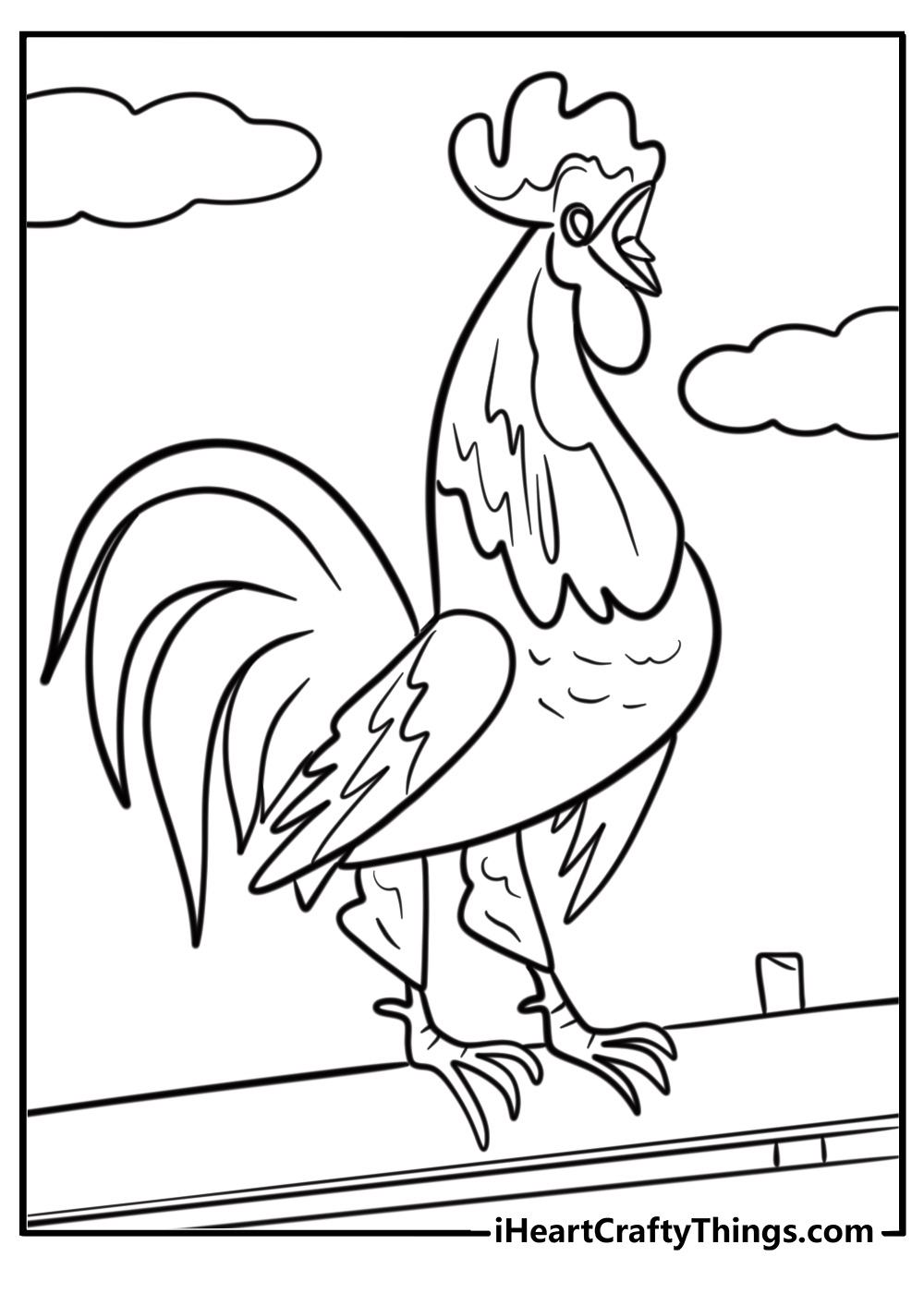 Rooster crowing on a fence fun printable coloring sheet