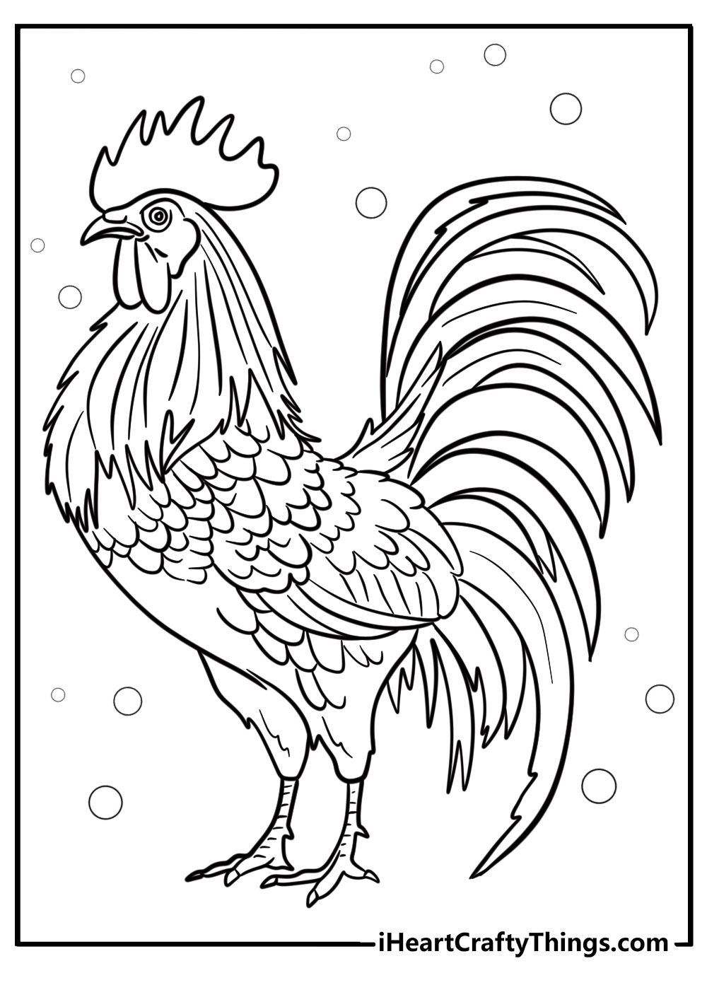 Rooster with colorful feathers coloring page for kids