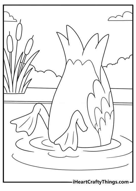simple duck coloring sheet dabbling duck with tail up near cattails easy download