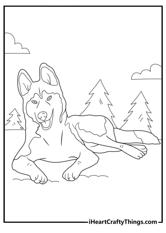 simple husky lying down resting coloring sheet