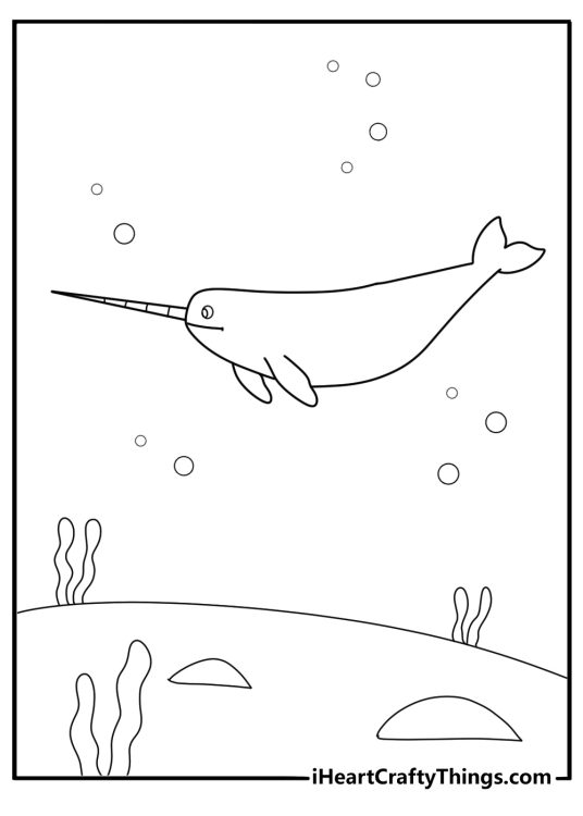simple narwhal outline easy coloring page for preschoolers