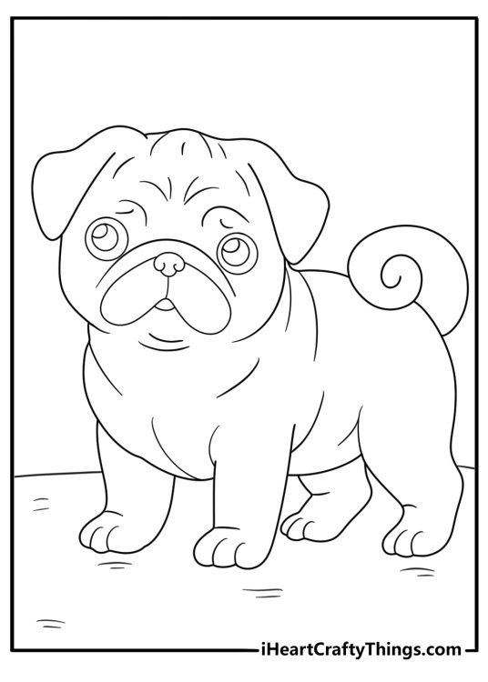 simple pug outline coloring page standing pose front view easy for preschool