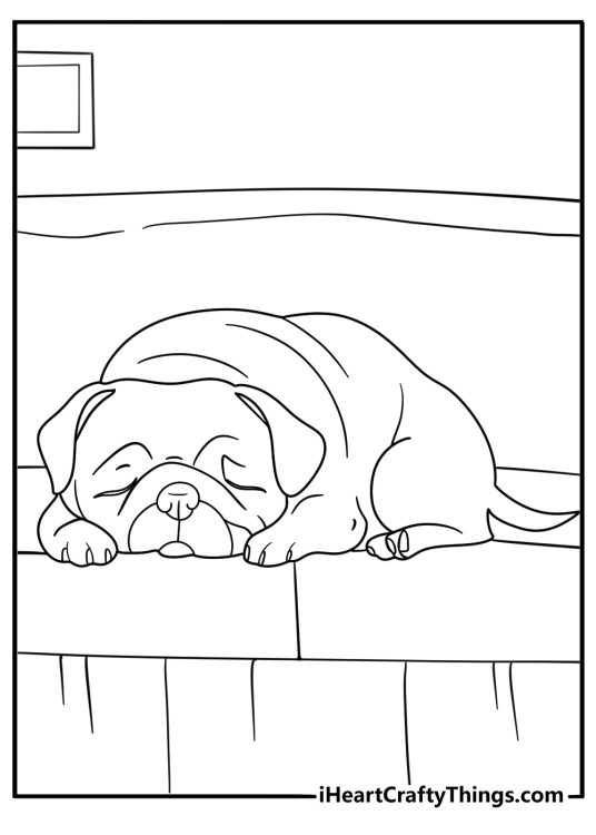 sleepy pug coloring page curled up on couch with blanket simple design for kids