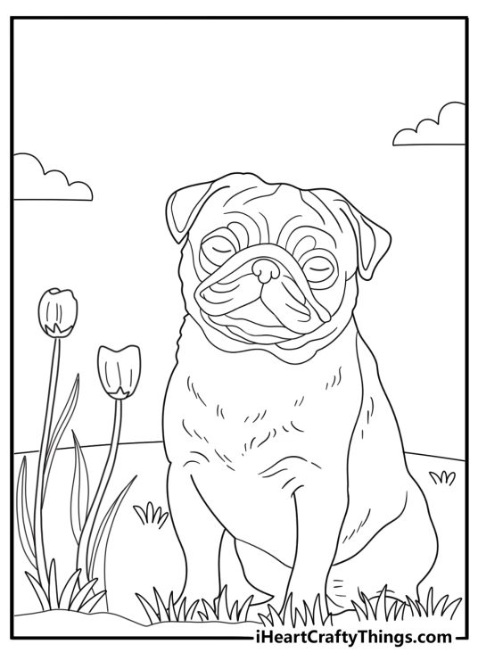 spring pug coloring sheet pug sniffing tulip garden easy outline pdf