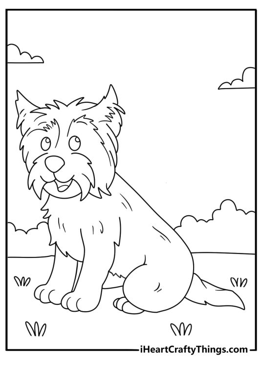 toto wizard of oz coloring pages