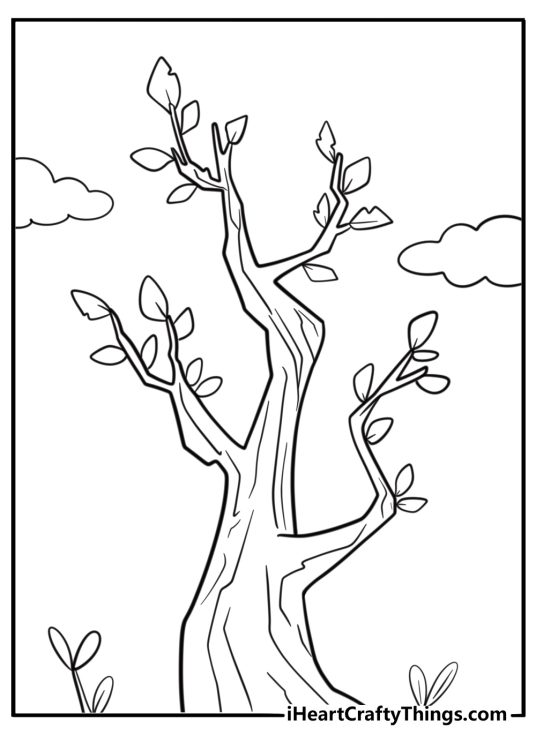 Trees with new leaves in early spring printable coloring sheet