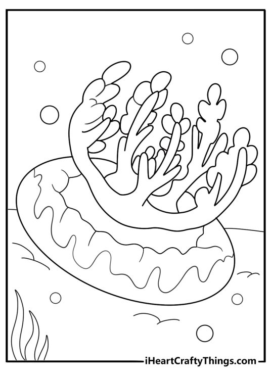 upside down jellyfish coloring sheet jelly resting on sandy bottom with sun rays from above printable