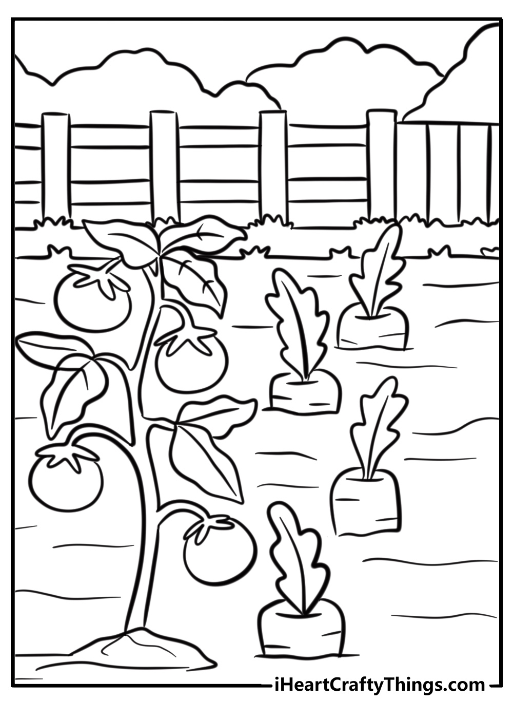 Vegetable garden with carrots and tomatoes coloring sheet