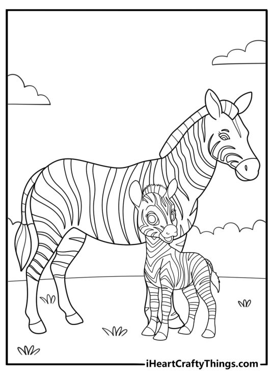 zebra family with baby foal detailed coloring page
