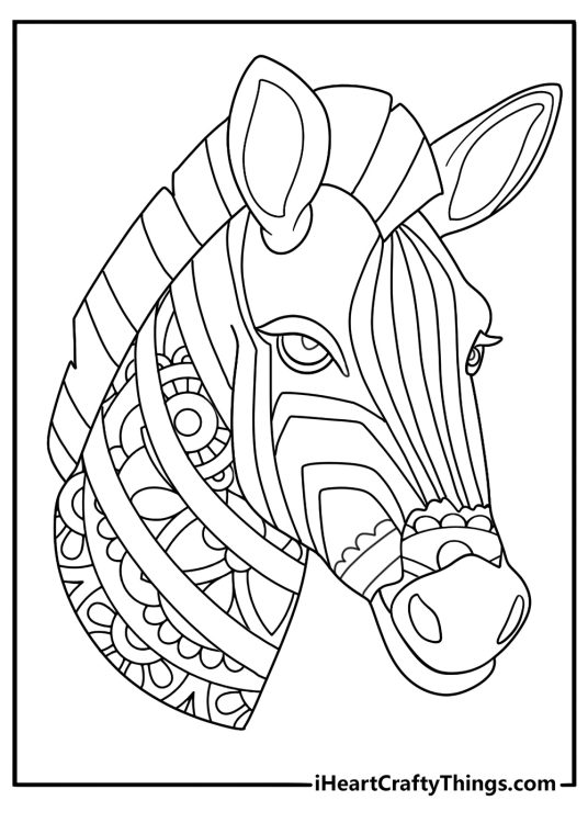 zebra head close up mandala style coloring page for adults