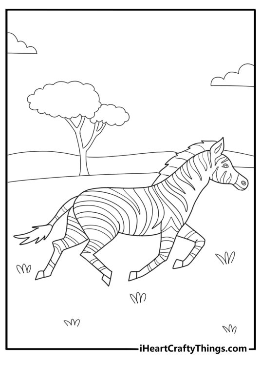 zebra running across the savanna easy coloring page for kids