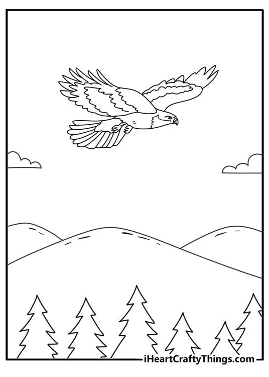 A hawk glides above a forest valley in this nature coloring page