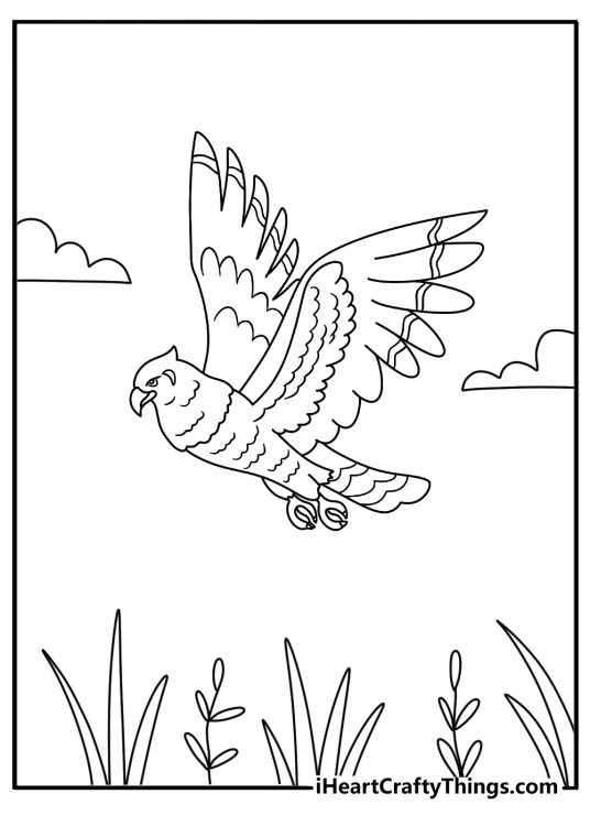 A hunting hawk flies low over a quiet meadow in this coloring sheet