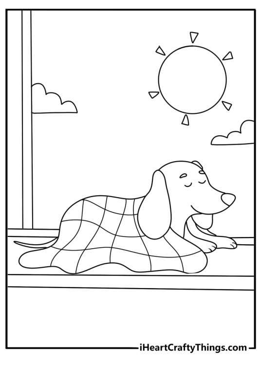 A puppy rests on a soft blanket beside a sunny window