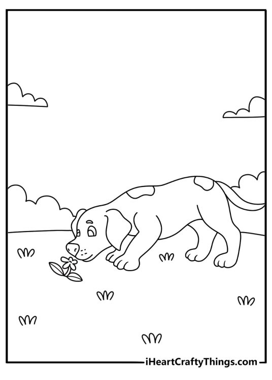 A puppy sniffs flowers along a garden path in this cute coloring page