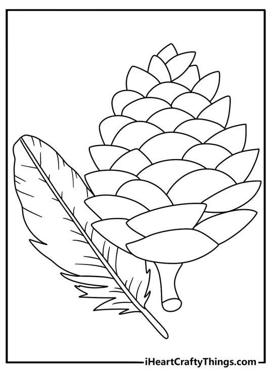 A single hawk feather beside pine cones in a simple coloring sheet