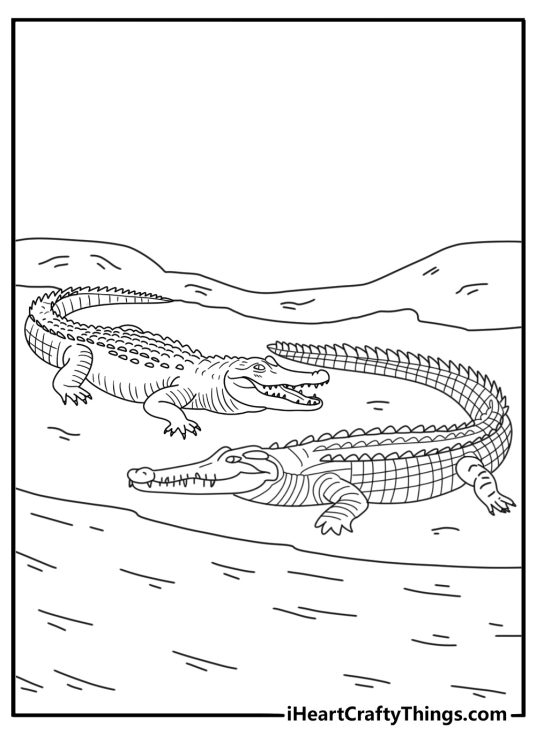 Alligator and crocodile coloring pages showing both reptiles by a pond