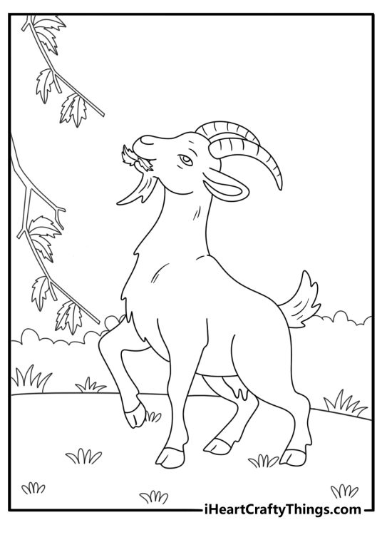 Alpine goat eating leaves from a low branch farm coloring page