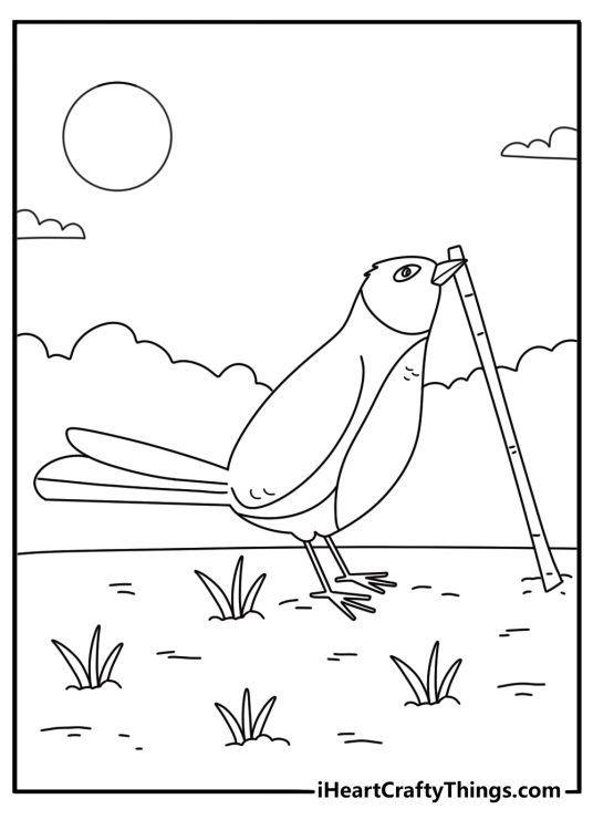 American robin coloring page showing bird pulling worm from garden soil