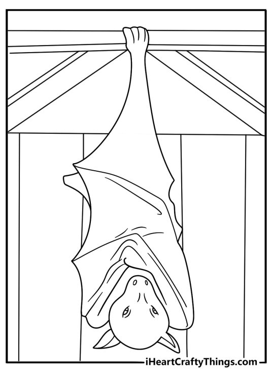 Attic roost bat coloring page several bats hanging from rafters printable