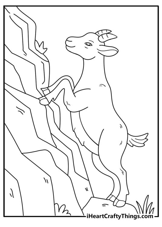 Baby goat learning to climb small rock easy coloring sheet for kids