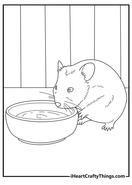 Baby hamster drinking from tiny bowl cute coloring page