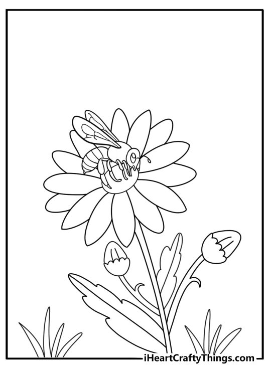 Bee near daisy center coloring sheet for kids pdf
