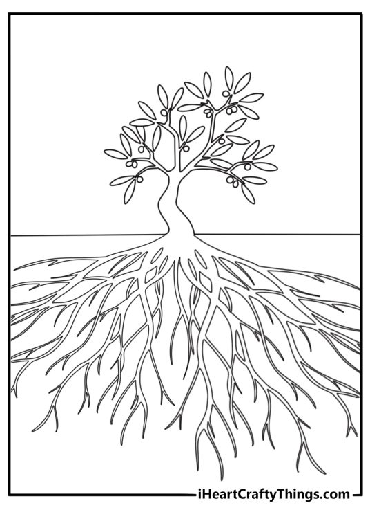 Bible verse coloring page with a leafy olive tree and deep roots simple outline for kids