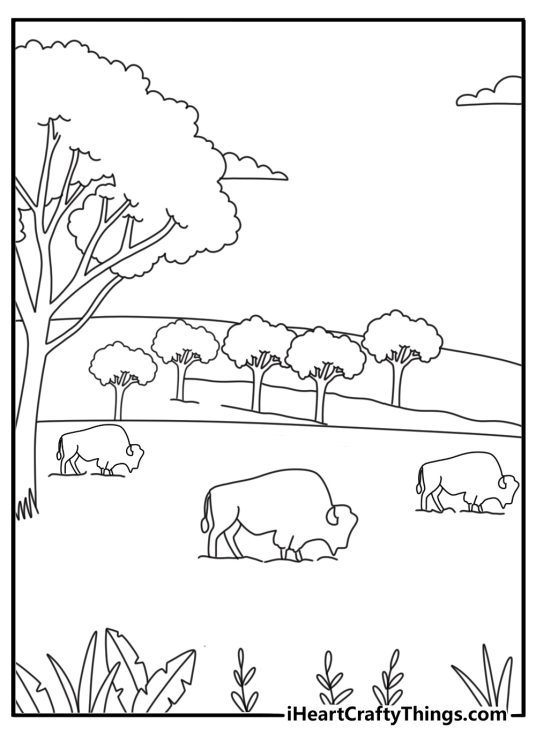 Bison herd on the prairie landscape coloring page for adults printable