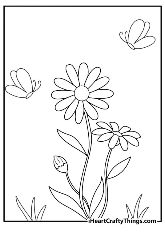Butterfly hovering over a daisy coloring page simple outlines