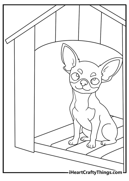 Chihuahua coloring page with a small pet peeking out of a dog house